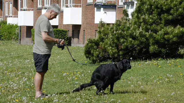 Чоловік вигулює собаку