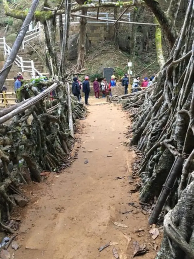 மேகாலயாவின் வேர்ப் பாலம்.