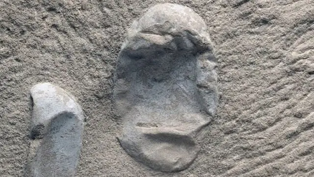 Huevos de pterosaurio hallados en China Foto: Alexander Kellner, Museu Nacional, UFRJ