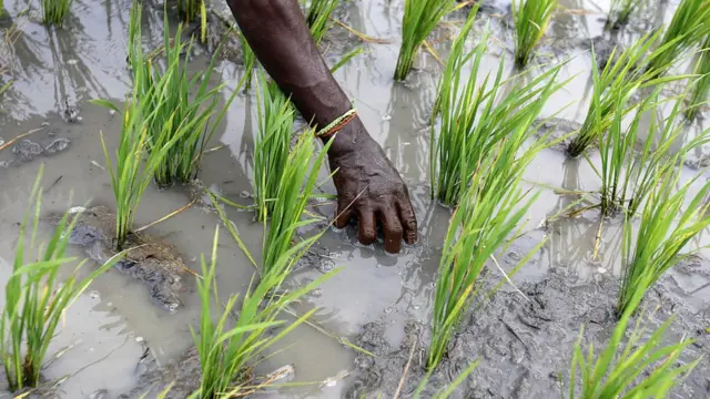 ''தண்ணீர் திறந்துவிடு இல்லையேல் விவசாயிகள் மாண்டு போவார்கள்''