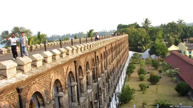 सेल्युलर जेल