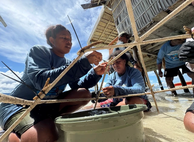 raja ampat, caledonian sky