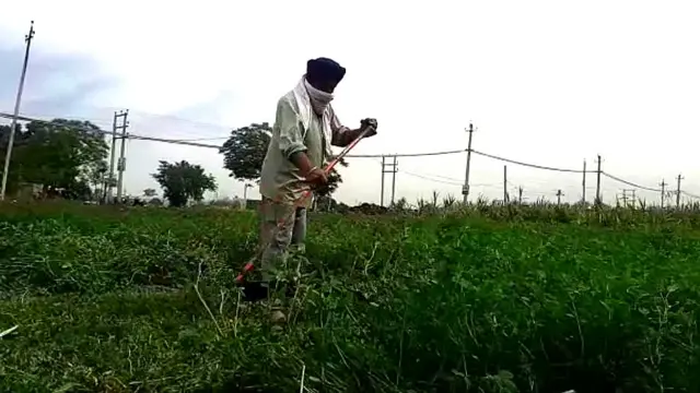 ਪਰਵਾਸੀ ਮਜ਼ਦੂਰ ਦਾ ਪਲਾਇਨ