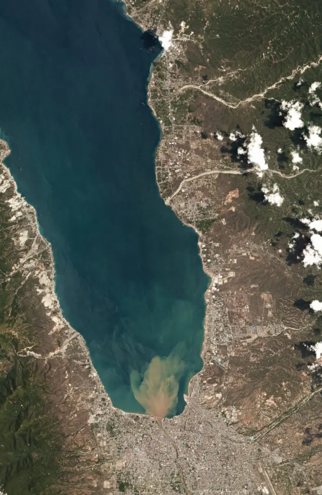 Satellite image showing the long thing bay leading to Palu