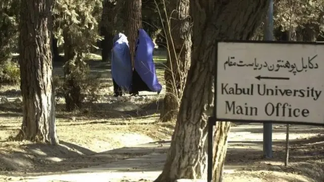 کابل پوهنتون