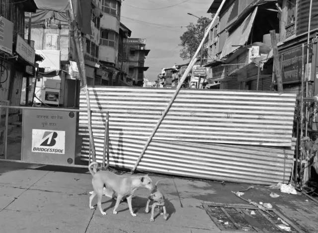 देवदत्त कशाळीकर