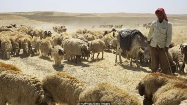 दुनिया के सबसे पुराने खाने का नुस्खा मिल गया