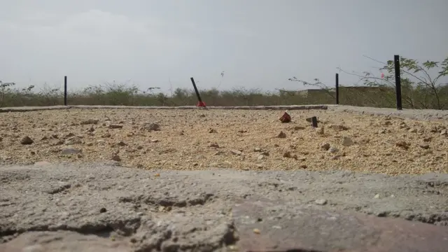 కృష్ణజింకల సమాధి