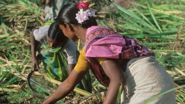 แรงงานหญิงในอินเดีย