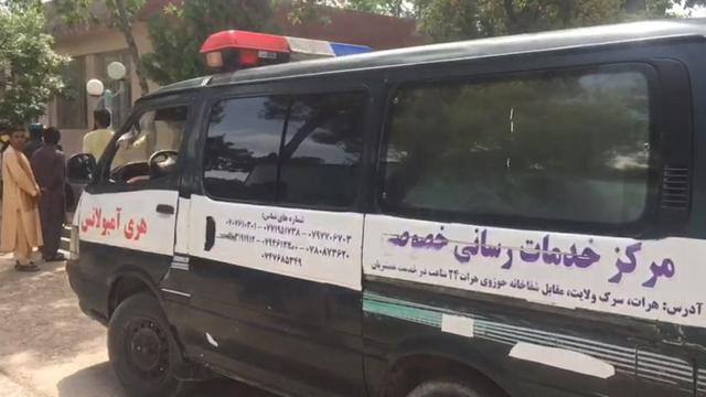 ادعای شکنجه و به رودخانه انداختن مسافران افغان توسط مرزبانان ایرانی؛ وزیر خارجه افغانستان 