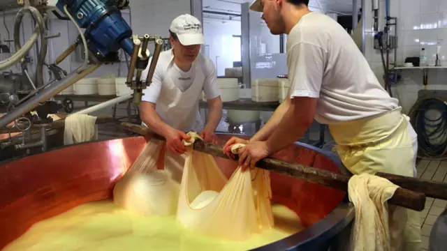 파르미지아노의 제조 과정