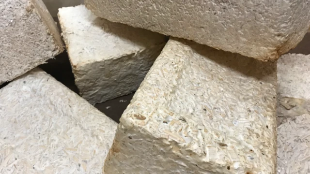 อิฐที่ทำจากไมซีเลียมของเห็ดราผสมกับเศษไม้