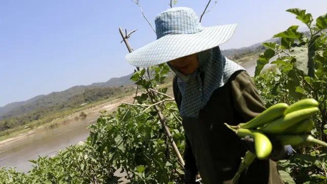 โครงการเกี่ยวกับแม่น้ำโขงของจีน