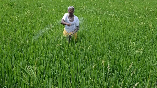 ખાતરનો વપરાશ વધ્યો