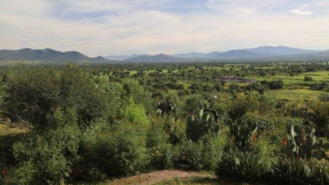 Fazenda Hidalgo, no México