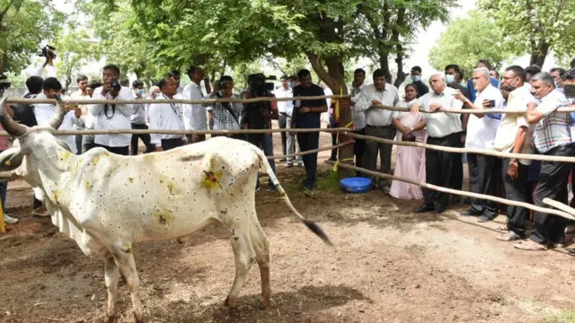 મુખ્ય મંત્રી ભૂપેન્દ્ર પટેલે કચ્છ જિલ્લાની મુલાકાત લીધી હતી