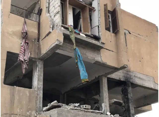 Huccuuwwan gamoowwwan diigama irratti rara'anii hafan