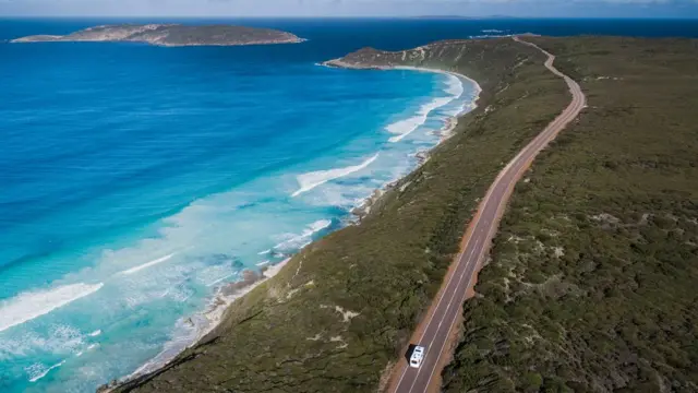 అనేక రకాల వాతావరణ పరిస్థితులు ఉండే ఆస్ట్రేలియా తీరాల్లో రిబ్బన్ వీడ్ పెరుగుతోంది