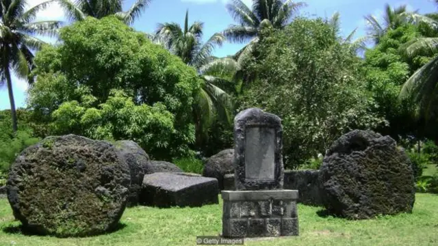 tulang, kerangka, evolusi