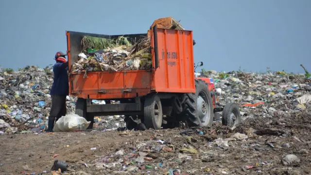 யானைகள்