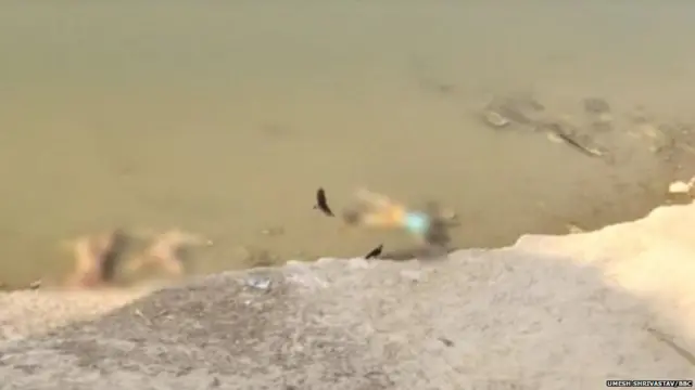 ਨਦੀਆਂ 'ਚ ਤੈਰਦੀਆਂ ਅੱਧ ਜਲੀਆਂ ਲਾਸ਼ਾਂ