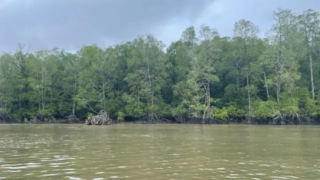 Asmat, Distrik Pulau Tiga, Kampung As-Atat, gizi buruk