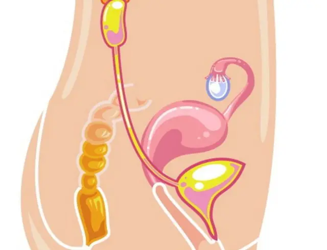 ਵਜਾਈਨਲ ਹੈਲਥ