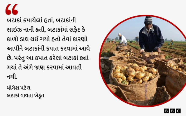 બીબીસી ગુજરાતી, ખેડૂત ગુજરાત, બનાસકાંઠા, સાબરકાંઠા