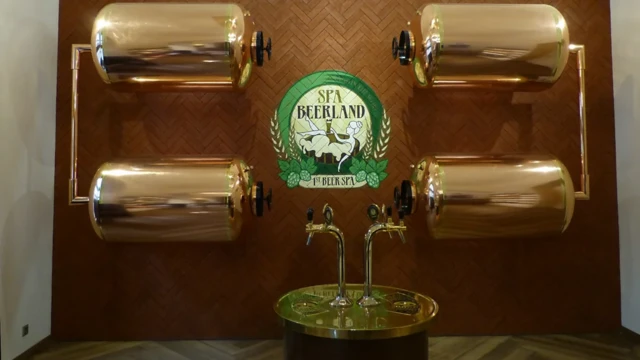 உலகளவில் பிரபலமாகும் `பீர் ஸ்பா’ - இளமையை கூட்டுமா?