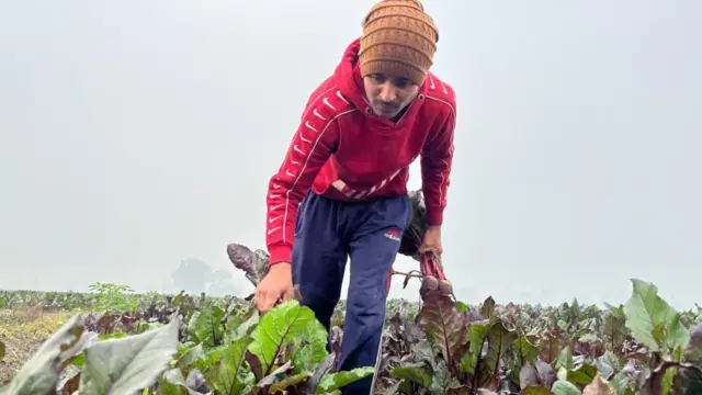 ਰਾਮ ਸਿਕਲ