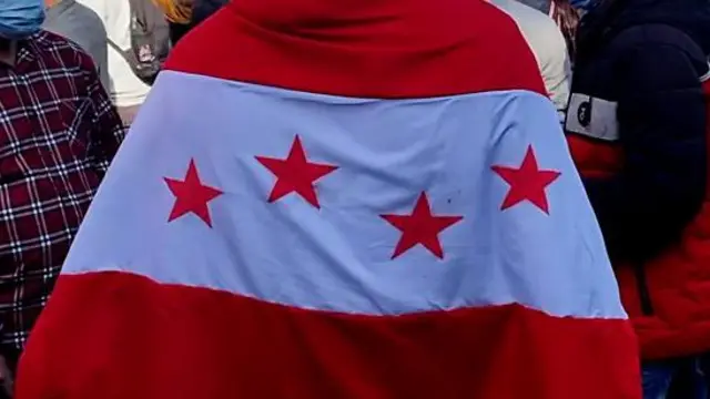 नेपाली कांग्रेसको झण्डा