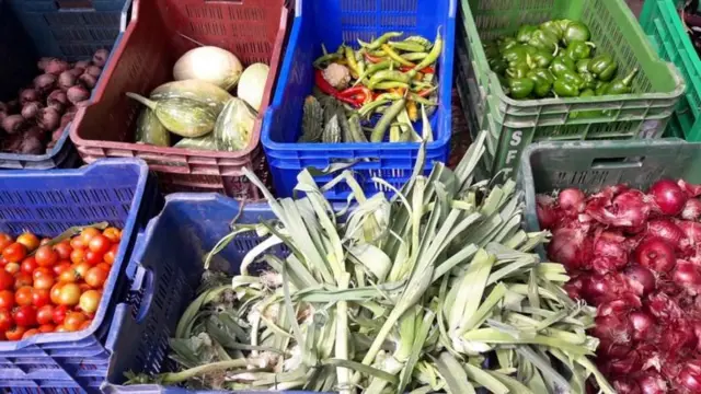 बिक्रीका लागि राखिएका फलफूल तथा तरकारी 