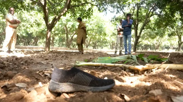 వైల్డ్ లైఫ్ , ఏనుగులు