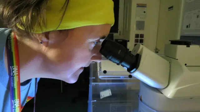 A cientista Tara Spires-Jones olha atentamente pela lente preta de um microscópio. Ela usa uma faixa amarela no cabelo para mantê-lo preso para trás. Ela veste uma camiseta azul com um cordão arco-íris.