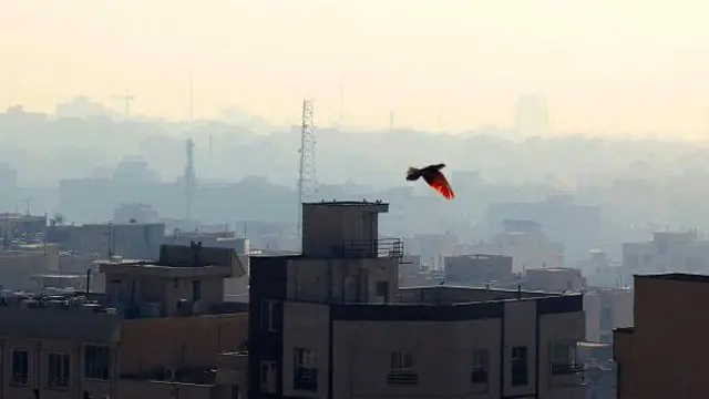 استاندار تهران گفته است که استقرار پایگاههای سیار اورژانس در مناطق پرتردد شهرهای استان الزامی است