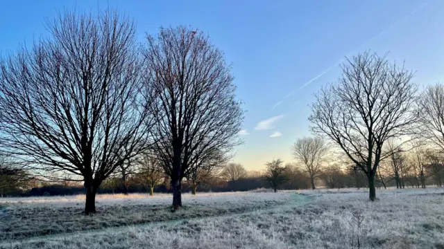 Un campo con varios árboles sin hojas durante el invierno. La hierba está cubierta de hielo.