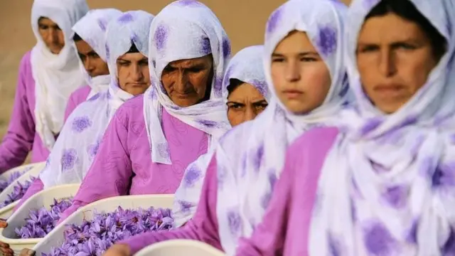 અફઘાનિસ્તાનમાં મહિલાસાક્ષરતાદર ખૂબ જ નીચો છે