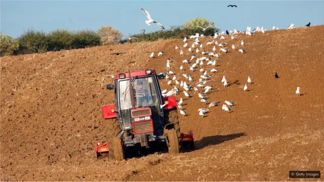 Astronavt Chris Hadfield valideynlərinin təsərrüfatında torpaq şumlanması da daxil, hər cür işin öhdəsindən gəlməyə çalışıb