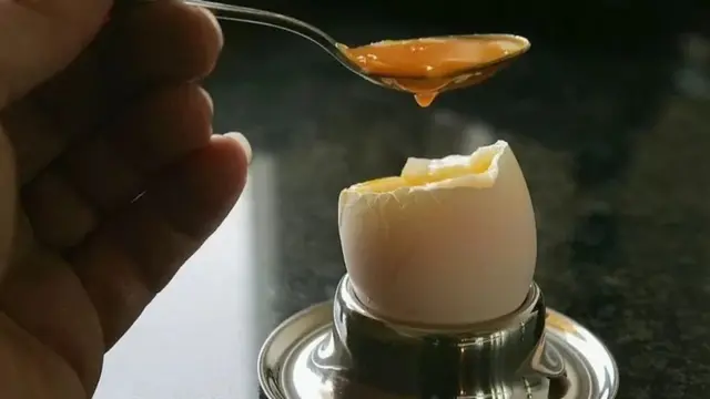 अंडे की कहानी