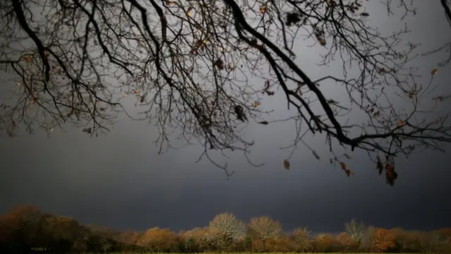 поле Жана-Бернара