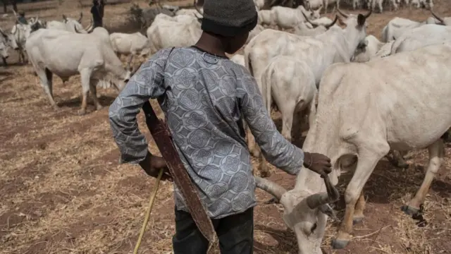 Fulani cattleman