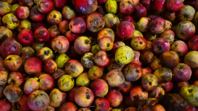 sampah makanan, global warming