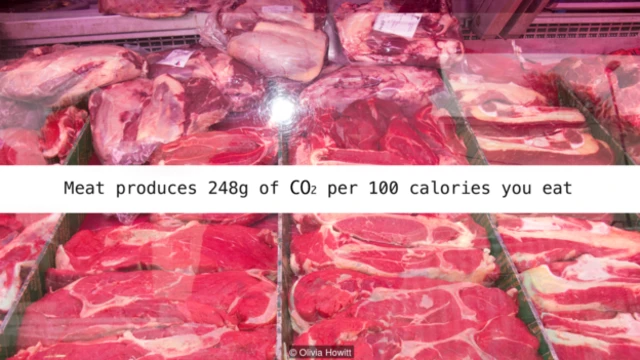 Sữa sản sinh 248g CO2 mỗi 100 calories chúng ta ăn