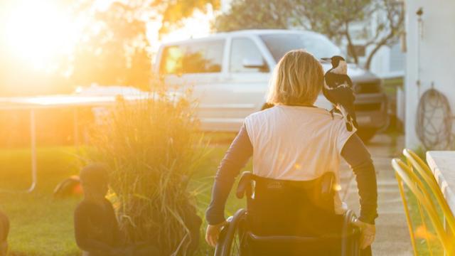 Sam na cadeirapoker cenarodas e Pinguimpoker cenaseu ombro