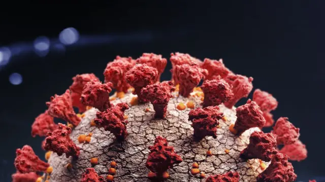 கொரோனா வைரஸ் கோப்புப் படம்