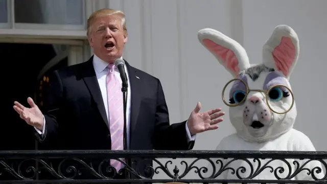 Трамп і Заєць