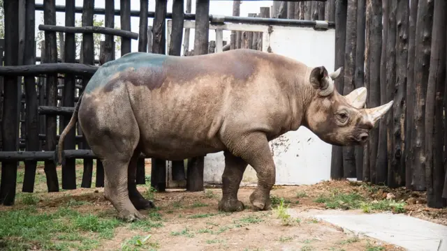 Waxaa hadda la geeyay seeraha duur joogta ee Akagera ee dalka Rwanda