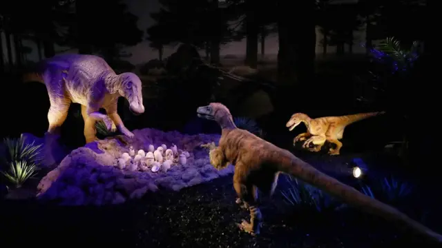 ไดโรเสาร์