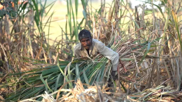 చెరకు రైతు