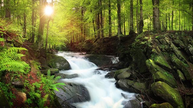 Una cascada en un río de montaña